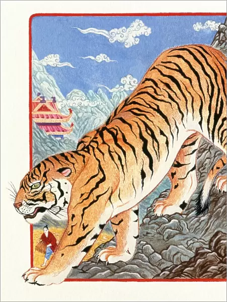 Illustration of Tiger Going Down The Mountain, representing Chinese Year Of The Tiger