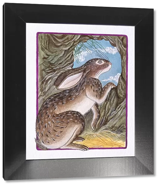 Illustration of Rabbit in the Burrow, representing Chinese Year Of The Rabbit