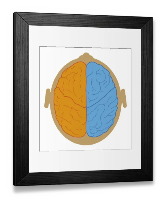 Framed Print : Digital illustration of lobes and longitudinal fissure of human brain, close-up Framed Print : Digital illustration of lobes and longitudinal fissure of human brain, close-up
