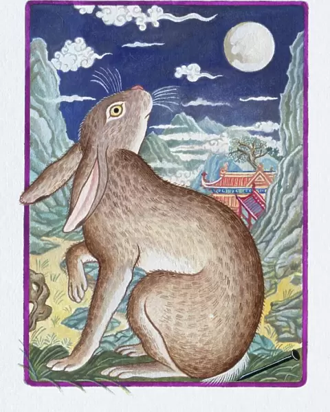 Illustration of Rabbit Looking at the Moon, representing Chinese Year Of The Rabbit