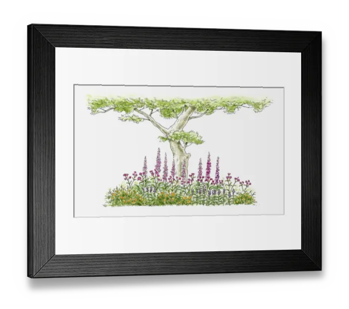 Framed Print : Illustration of foxgloves, periwinkles and wildflowers growing near tree in domestic garden Framed Print : Illustration of foxgloves, periwinkles and wildflowers growing near tree in domestic garden