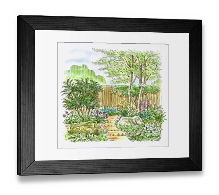 Framed Print : Illustration of a landscaped woodland garden Framed Print : Illustration of a landscaped woodland garden