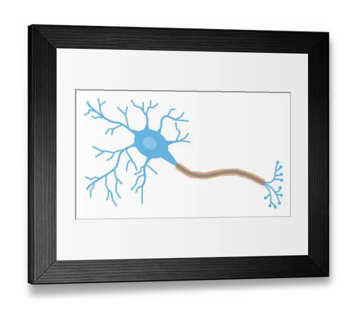 Framed Print : Digital illustration of a neuron Framed Print : Digital illustration of a neuron