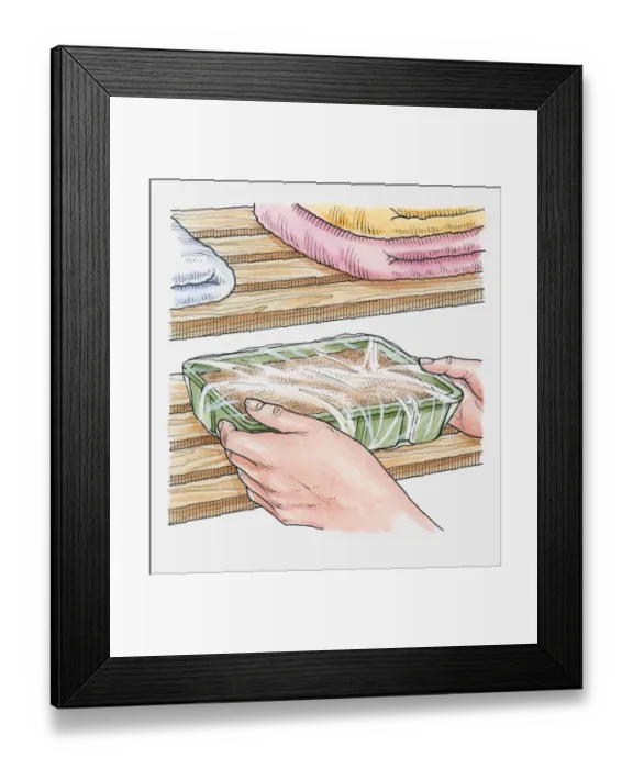 Framed Print : Illustration of putting seed tray covered with polythene in airing cupboard Framed Print : Illustration of putting seed tray covered with polythene in airing cupboard