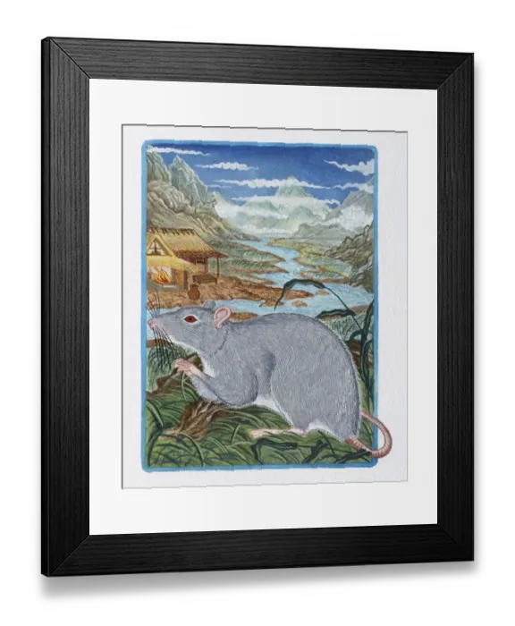 Framed Print : Illustration of Rat in the Field, representing Chinese Year Of The Rat Framed Print : Illustration of Rat in the Field, representing Chinese Year Of The Rat