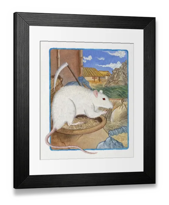 Framed Print : Illustration of Rat in the Warehouse, representing Chinese Year Of The Rat Framed Print : Illustration of Rat in the Warehouse, representing Chinese Year Of The Rat