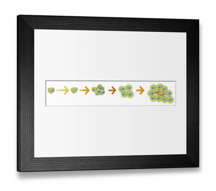 Framed Print : Digital illustration of action pathways of anti-cancer agents Framed Print : Digital illustration of action pathways of anti-cancer agents