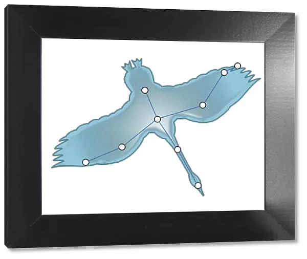 Digital illustration of a swan in flight representing the Cygnus constellation