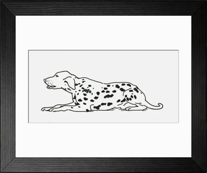 Framed Print : Black and white digital illustration of Dalmatian dog lying down Framed Print : Black and white digital illustration of Dalmatian dog lying down