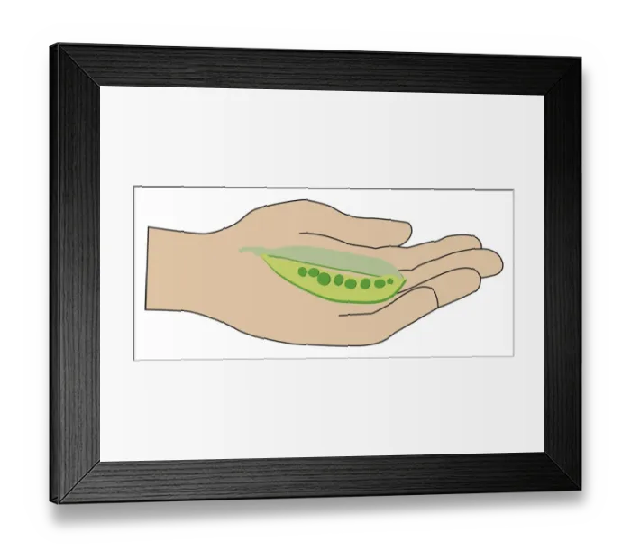 Framed Print : Digital illustration of ripe pea pod in palm of hand Framed Print : Digital illustration of ripe pea pod in palm of hand