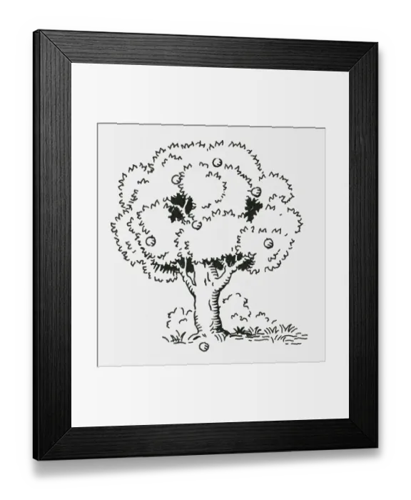 Framed Print : Black and white digital illustration of apples on tree and ground Framed Print : Black and white digital illustration of apples on tree and ground