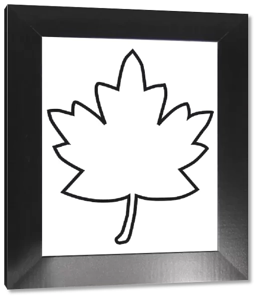 Black and white digital illustration of maple leaf outline