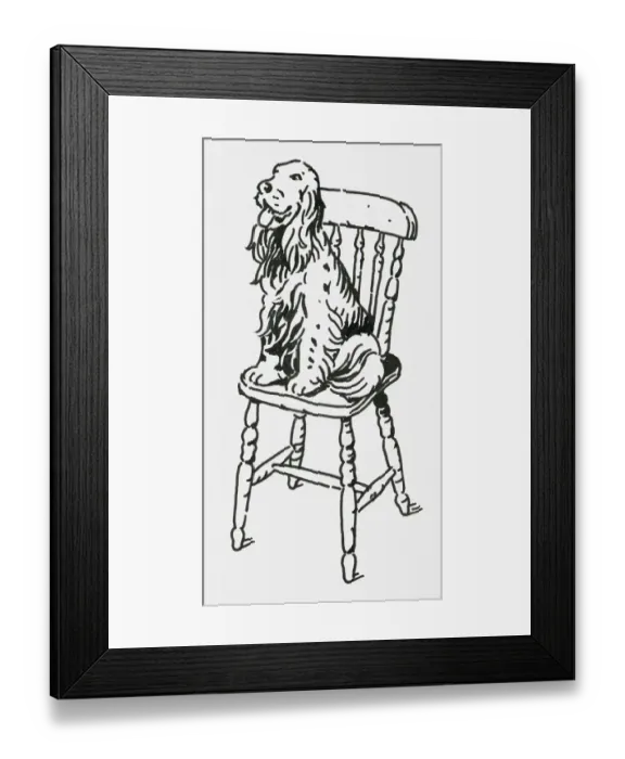 Framed Print : Black and white digital illustration of English Springer Spaniel sitting on wooden chair Framed Print : Black and white digital illustration of English Springer Spaniel sitting on wooden chair