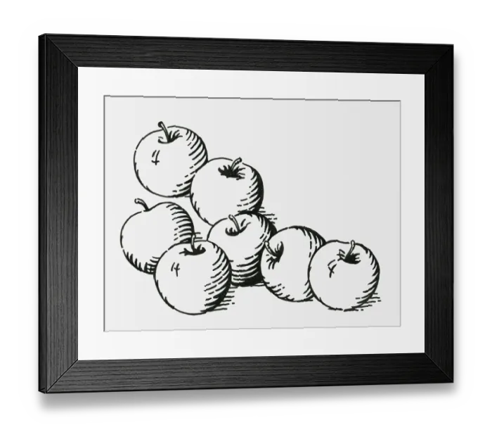 Framed Print : Black and white digital illustration of ripe apples Framed Print : Black and white digital illustration of ripe apples