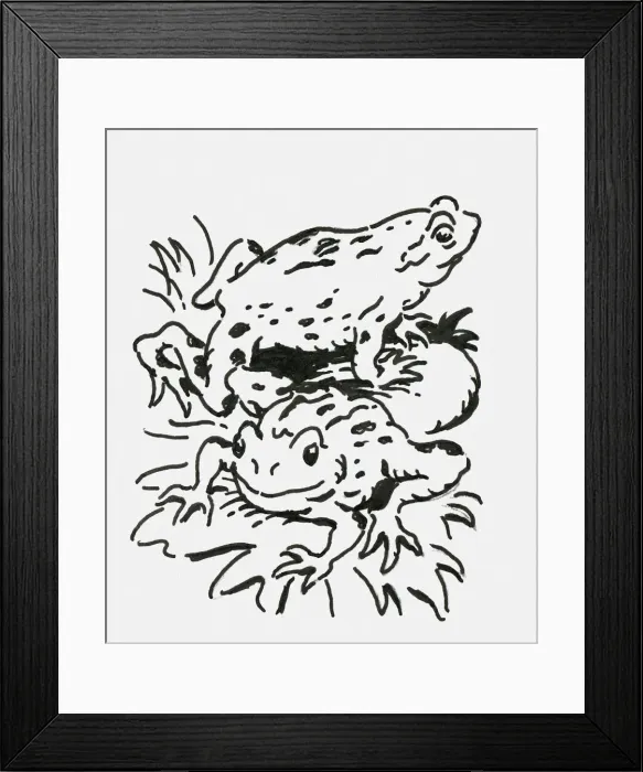 Framed Print : Black and white digital illustration of two toads on water lilies Framed Print : Black and white digital illustration of two toads on water lilies