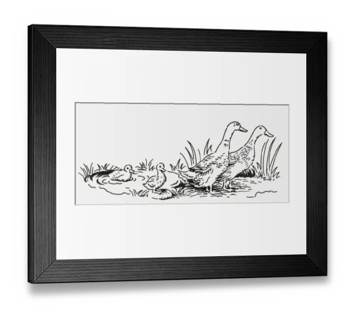 Framed Print : Black and white digital illustration of two geese with two goslings near pond Framed Print : Black and white digital illustration of two geese with two goslings near pond