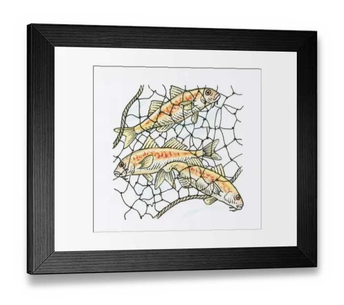 Framed Print : Illustration of fish caught in fishing net Framed Print : Illustration of fish caught in fishing net
