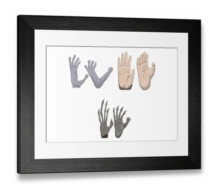 Framed Print : Digital illustration of Chimpanzee, Aye-Aye, and Indri Lemur hands and feet Framed Print : Digital illustration of Chimpanzee, Aye-Aye, and Indri Lemur hands and feet