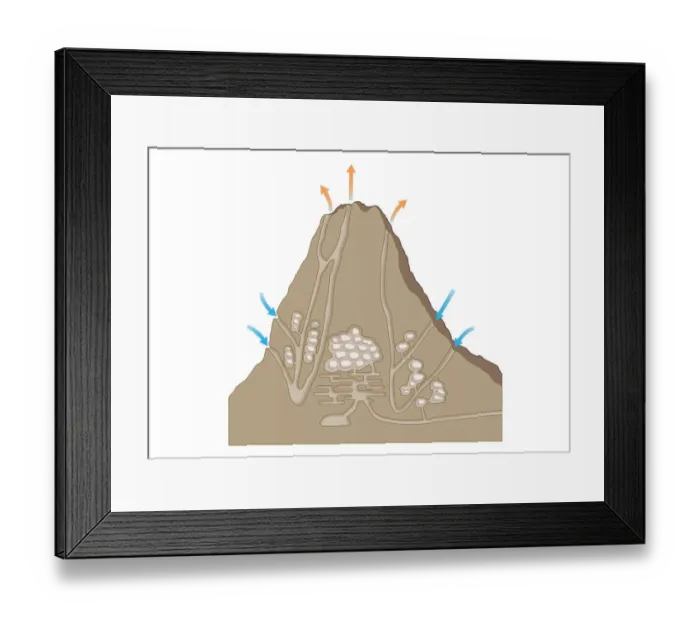 Framed Print : Digital cross section illustration of ventilation system inside termite mound Framed Print : Digital cross section illustration of ventilation system inside termite mound