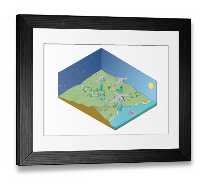 Framed Print : Digital illustration of migration navigation of birds including the sun, stars, coastlines, EarthAz's Framed Print : Digital illustration of migration navigation of birds including the sun, stars, coastlines, EarthAz's