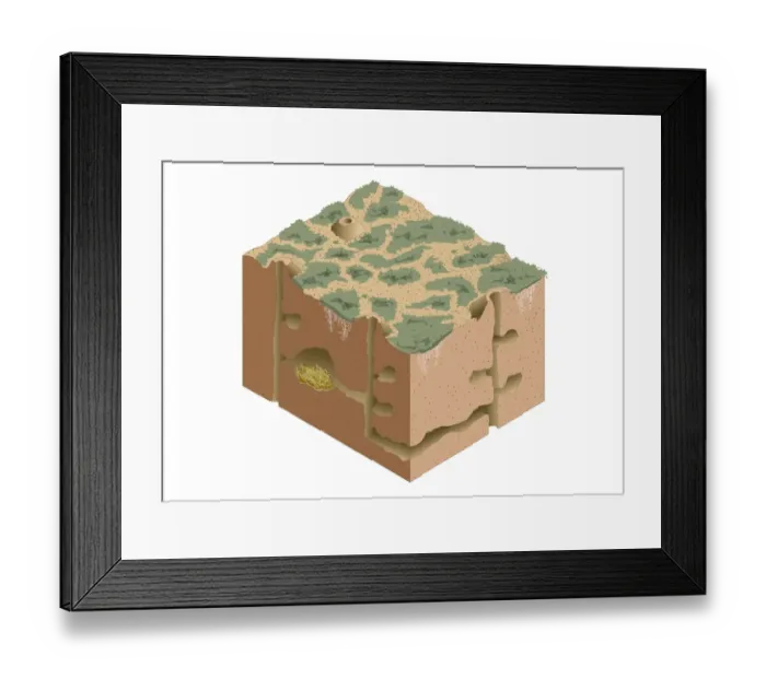 Framed Print : Digital illustration of Black-tailed Prairie Dog burrow system and nest under semi-arid ground Framed Print : Digital illustration of Black-tailed Prairie Dog burrow system and nest under semi-arid ground