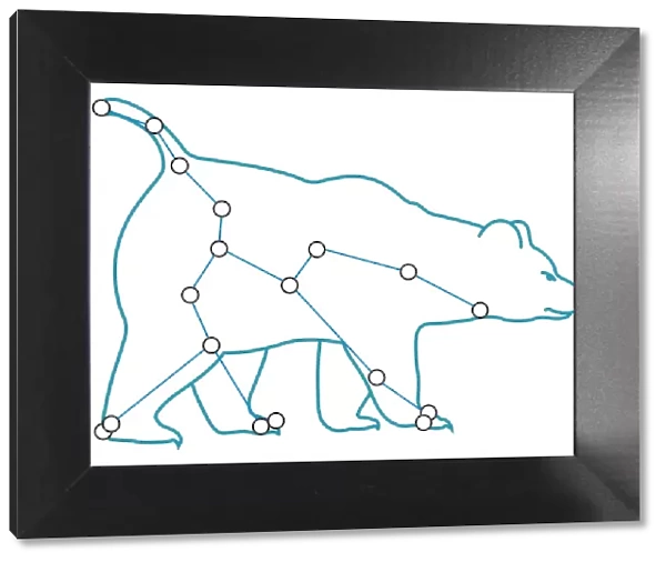 Digital illustration of Ursa Major (Great Bear) constellation