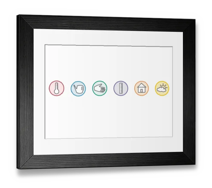 Framed Print : Digital illustration representing houseplant care symbols in colour circles Framed Print : Digital illustration representing houseplant care symbols in colour circles
