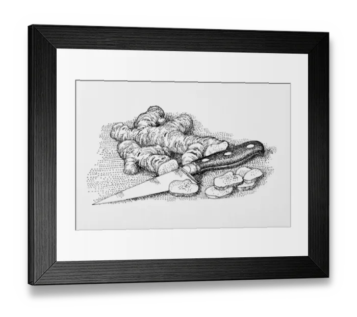 Framed Print : Black and white illustration of of fresh ginger and kitchen knife Framed Print : Black and white illustration of of fresh ginger and kitchen knife