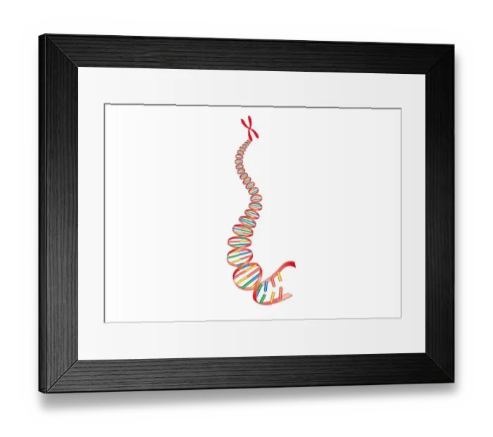 Framed Print : Digital illustration of animal DNA and chromosome Framed Print : Digital illustration of animal DNA and chromosome