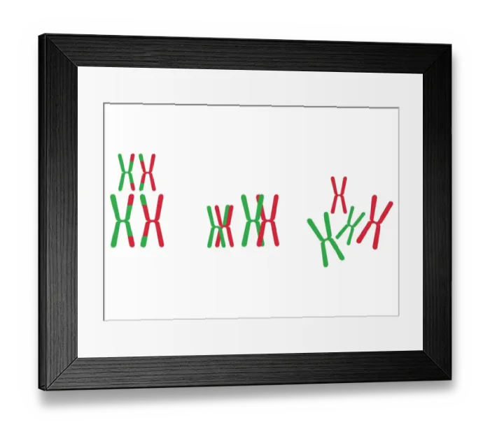 Framed Print : Digital illustration of animal genes Framed Print : Digital illustration of animal genes