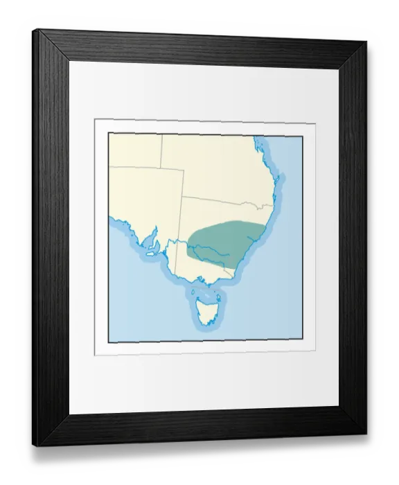 Framed Print : Digital illustration of wine growing region in New South Wales Framed Print : Digital illustration of wine growing region in New South Wales