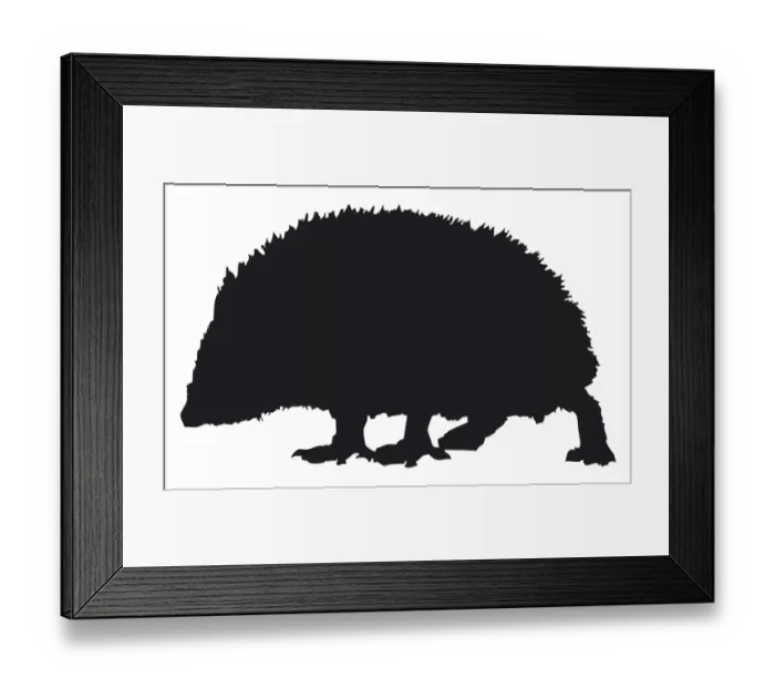 Framed Print : Black and white digital illustration of a West European Hedgehog (Erinaceus europaeus) Framed Print : Black and white digital illustration of a West European Hedgehog (Erinaceus europaeus)