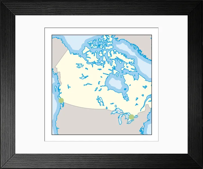 Framed Print : Digital illustration of wine growing regions in Canada Framed Print : Digital illustration of wine growing regions in Canada