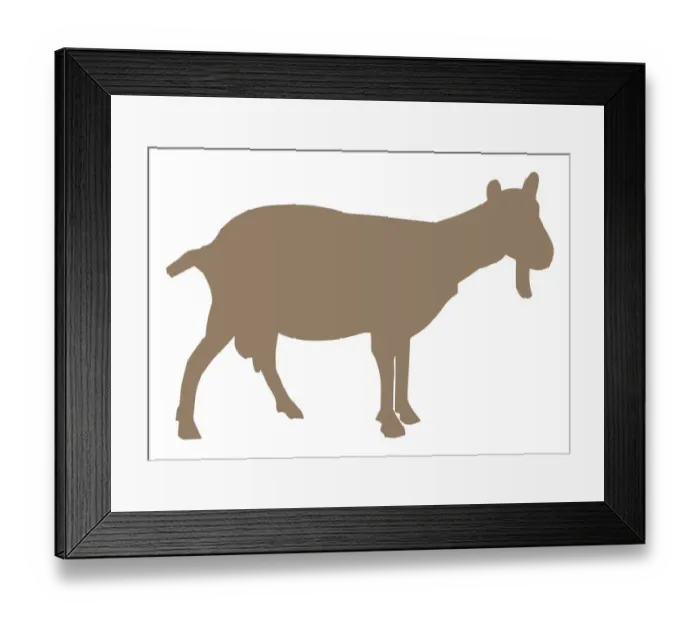 Framed Print : Digital illustration of Domestic Goat (Capra aegagrus hircus) Framed Print : Digital illustration of Domestic Goat (Capra aegagrus hircus)