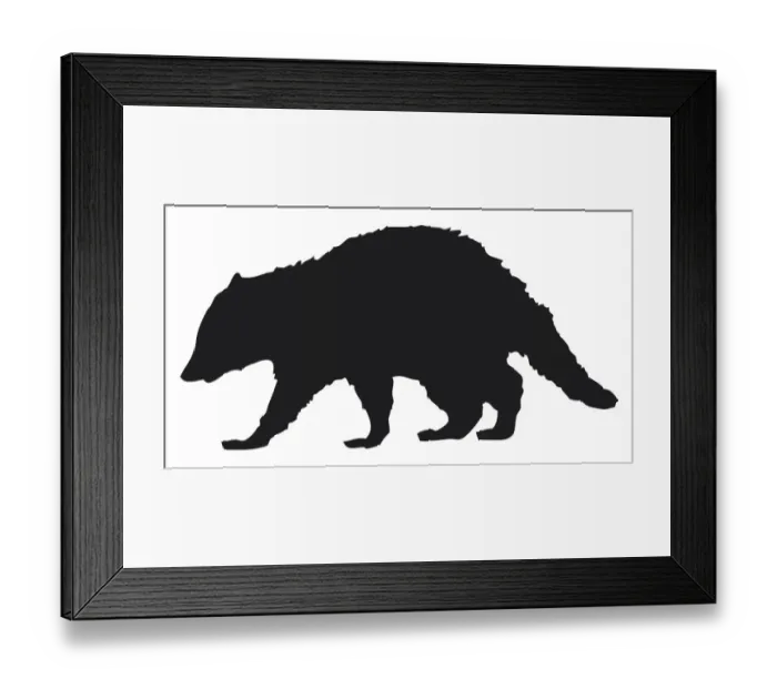 Framed Print : Digital illustration of Racoon (Procyon lotor) Framed Print : Digital illustration of Racoon (Procyon lotor)