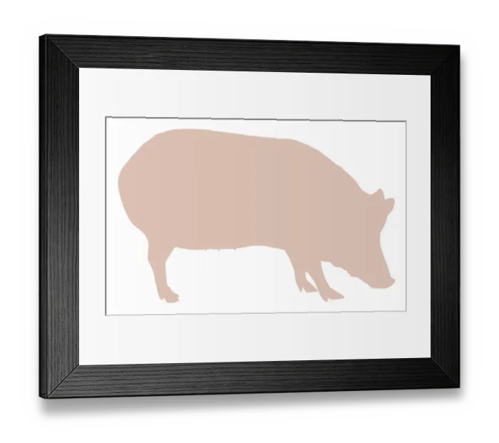Framed Print : Digital illustration of Domestic Pig (Sus domestica) Framed Print : Digital illustration of Domestic Pig (Sus domestica)