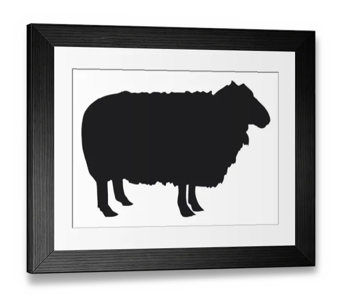 Framed Print : Black and white digital illustration of Domestic Sheep (Ovis aries) Framed Print : Black and white digital illustration of Domestic Sheep (Ovis aries)