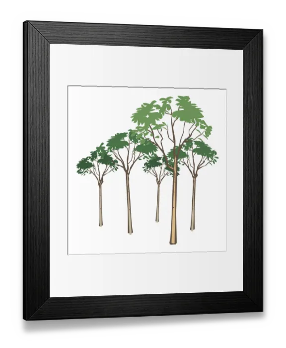 Framed Print : Digital illustration of tall trees with green leaves