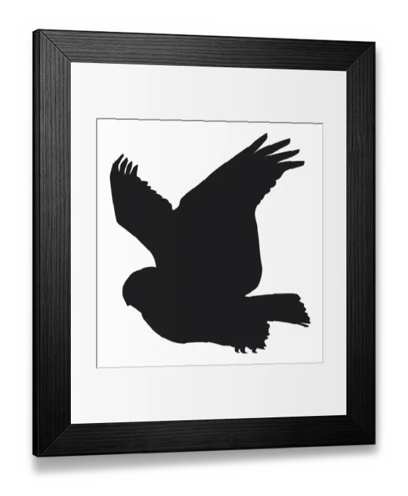 Framed Print : Black and white digital illustration of Snowy Owl (Bubo scandiacus) in flight Framed Print : Black and white digital illustration of Snowy Owl (Bubo scandiacus) in flight