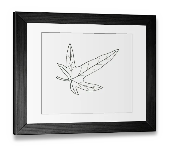 Framed Print : Black and white illustration birds foot shape Hedera (Ivy) leaf Framed Print : Black and white illustration birds foot shape Hedera (Ivy) leaf
