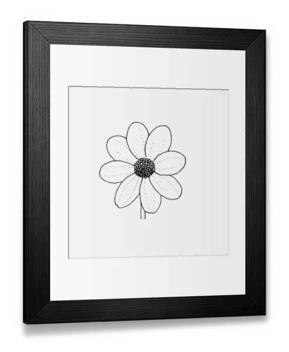 Framed Print : Black and white illustration of single flowerhead form Dahlia Framed Print : Black and white illustration of single flowerhead form Dahlia