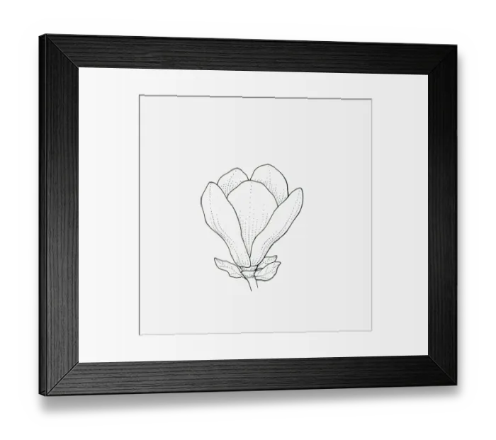 Framed Print : Black and white illustration of goblet-shaped Magnolia flower head Framed Print : Black and white illustration of goblet-shaped Magnolia flower head