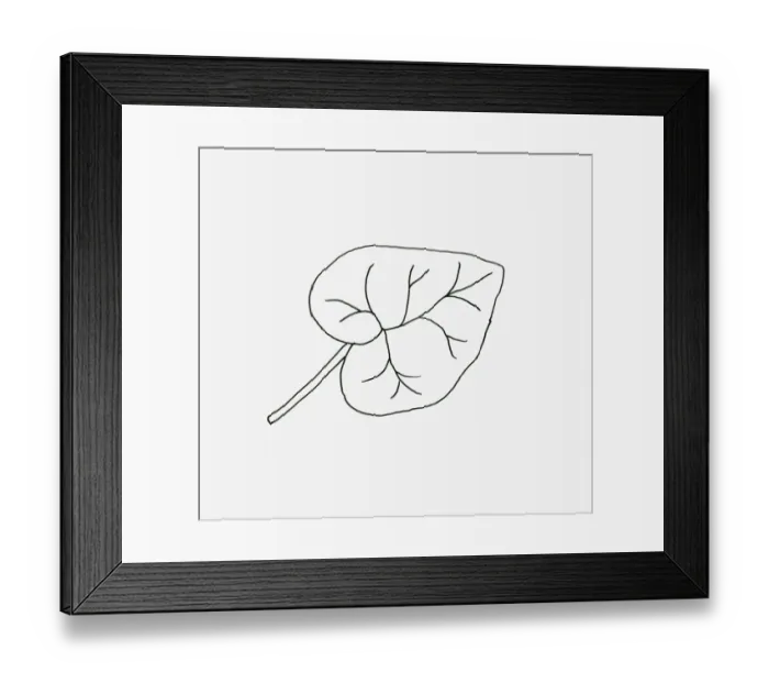 Framed Print : Black and white illustration of heart shaped Hedera (Ivy) leaf Framed Print : Black and white illustration of heart shaped Hedera (Ivy) leaf