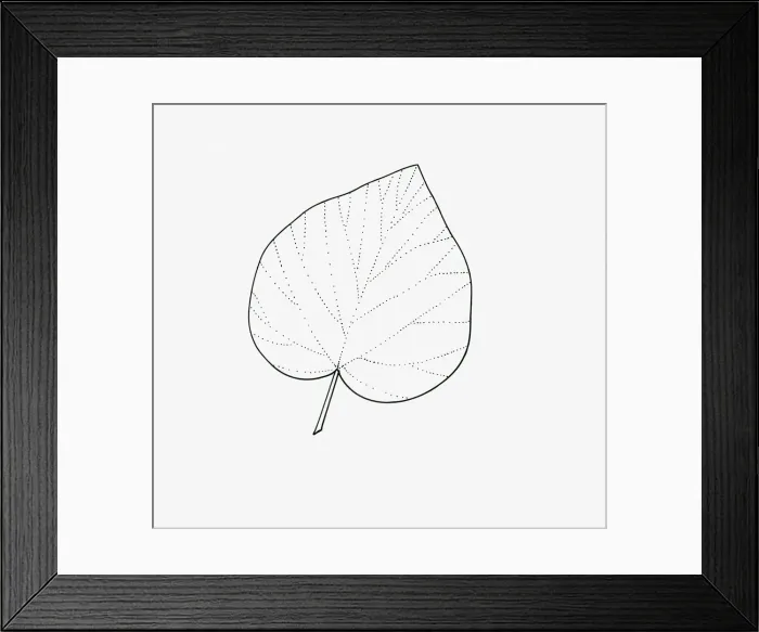 Framed Print : Black and white illustration of unlobed Hedera (Ivy) leaf