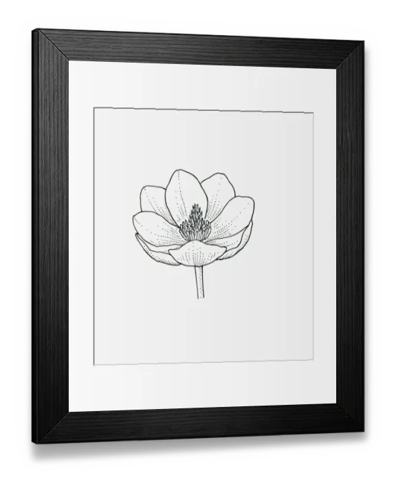 Framed Print : Black and white illustration of cup-shaped Magnolia flower head Framed Print : Black and white illustration of cup-shaped Magnolia flower head