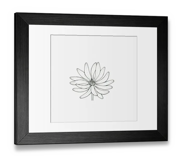Framed Print : Black and white illustration of star-shaped Magnolia flower head Framed Print : Black and white illustration of star-shaped Magnolia flower head