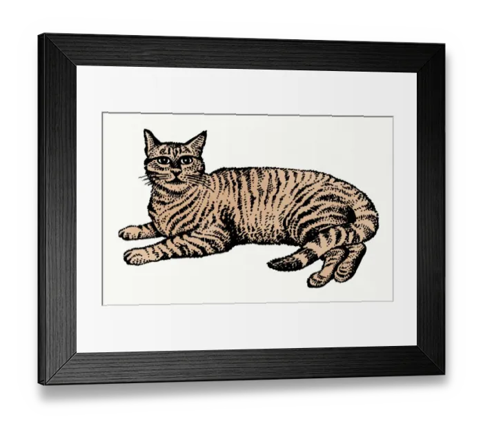 Framed Print : Illustration of tabby cat