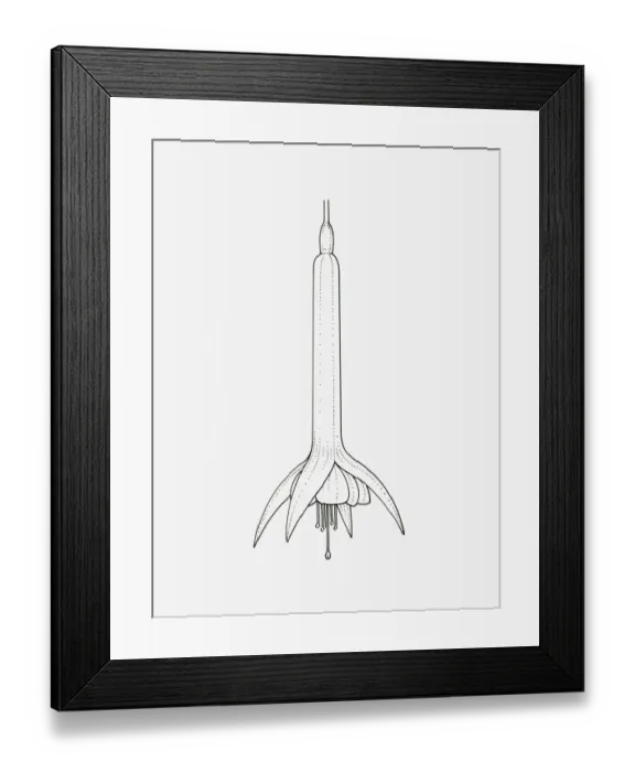 Framed Print : Black and White Illustration of tubular Fuchsia Triphylla Group flower head
