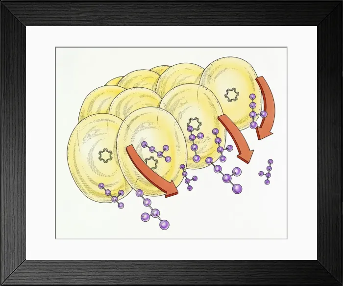 Framed Print : Digital illustration of protein development within cells Framed Print : Digital illustration of protein development within cells
