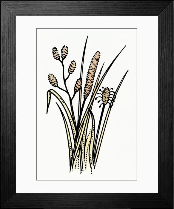 Framed Print : Digital illustration of pollinating flora causing allergy-related problems Framed Print : Digital illustration of pollinating flora causing allergy-related problems